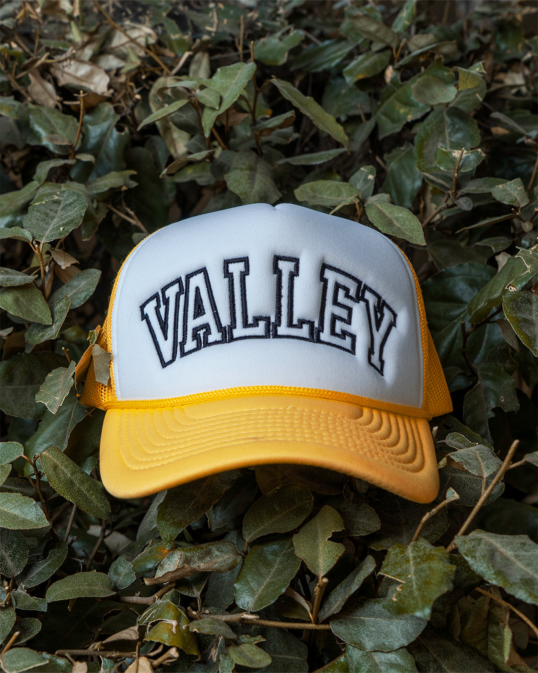 Gold/White ValleyTrucker