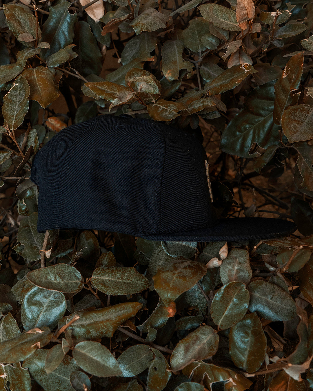 Black SFV Hat