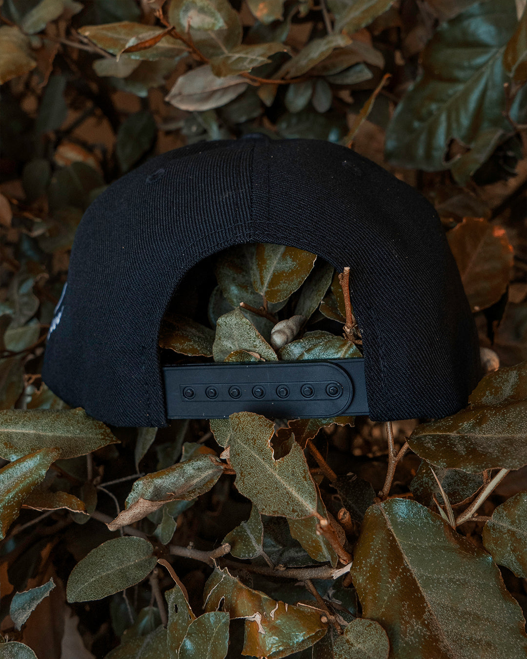 Black SFV Hat