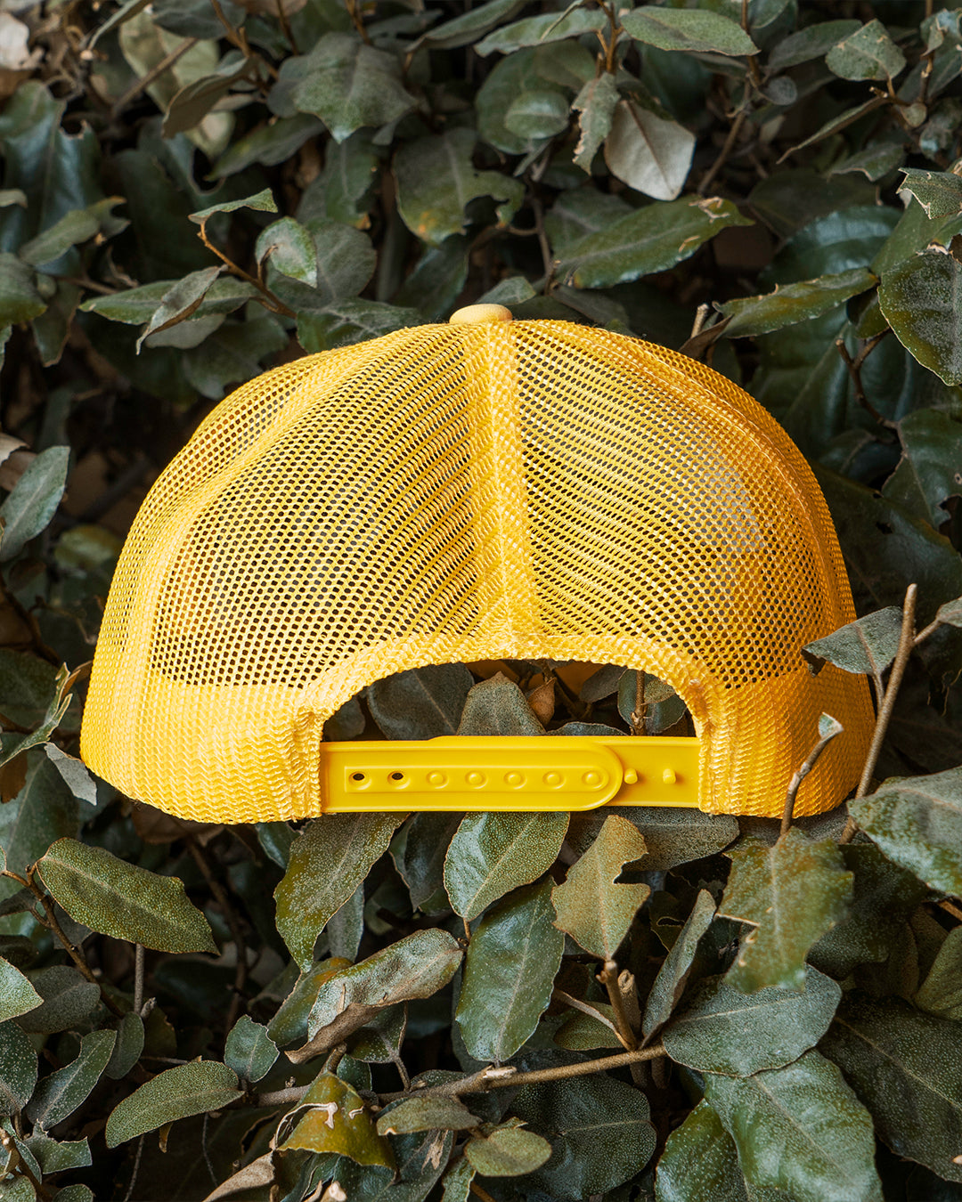 Gold/White ValleyTrucker