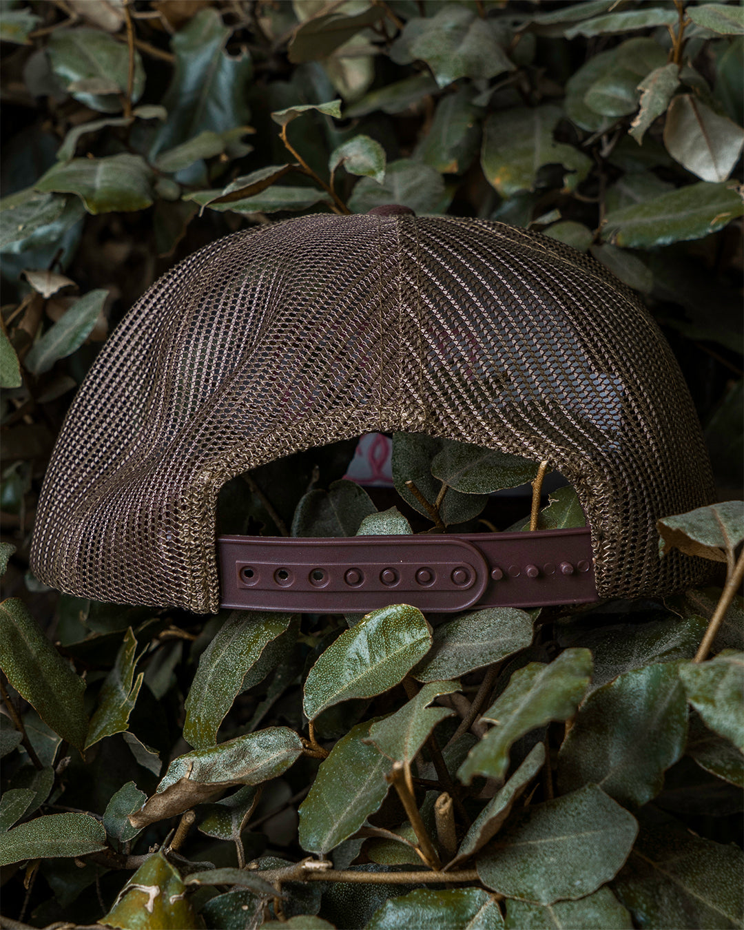 Brown/Pink Valleyside Trucker