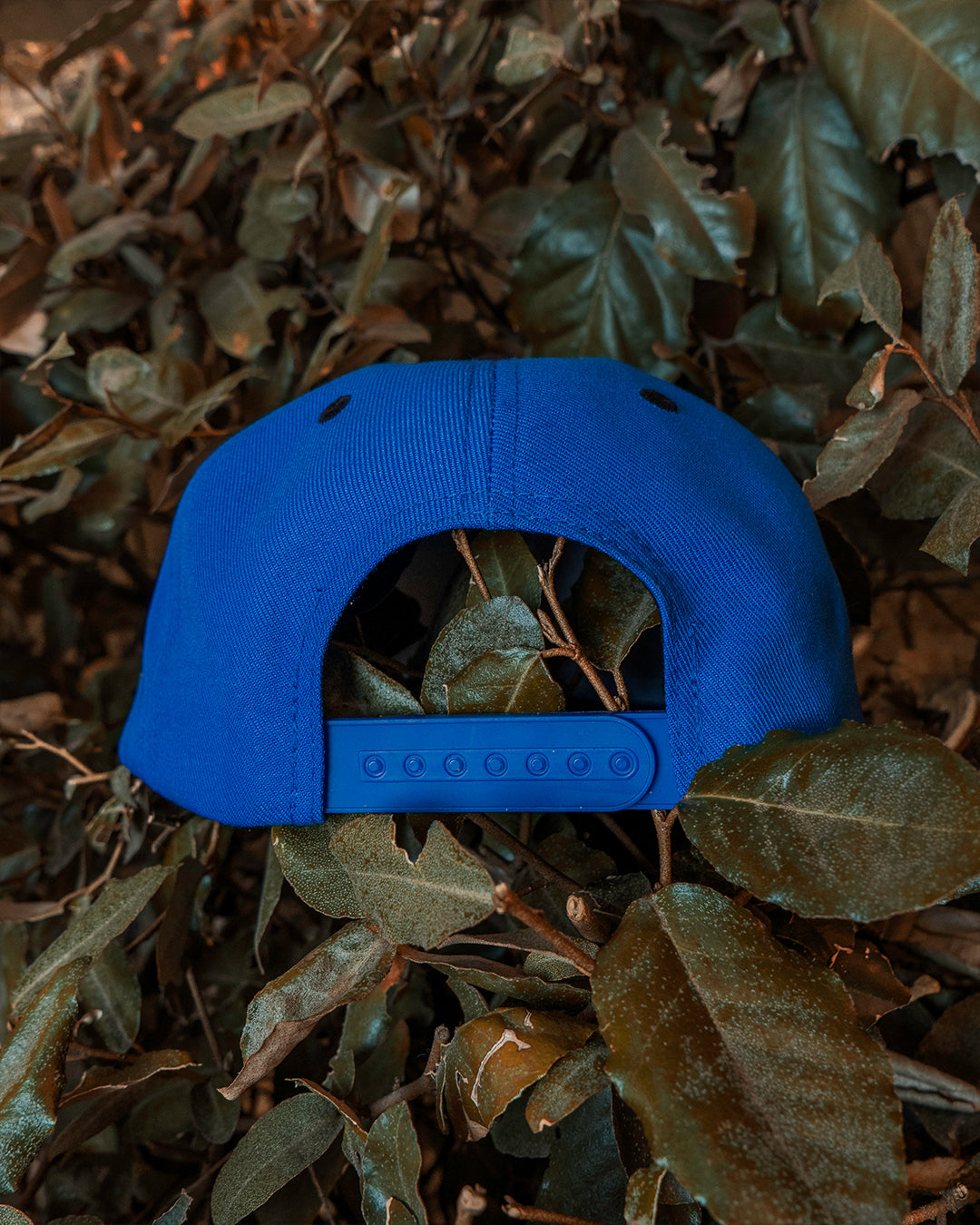 Royal Blue SFV (W/Patch)