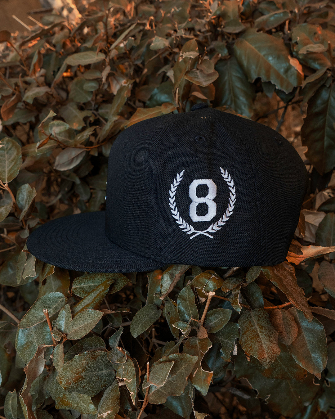 Black SFV Hat