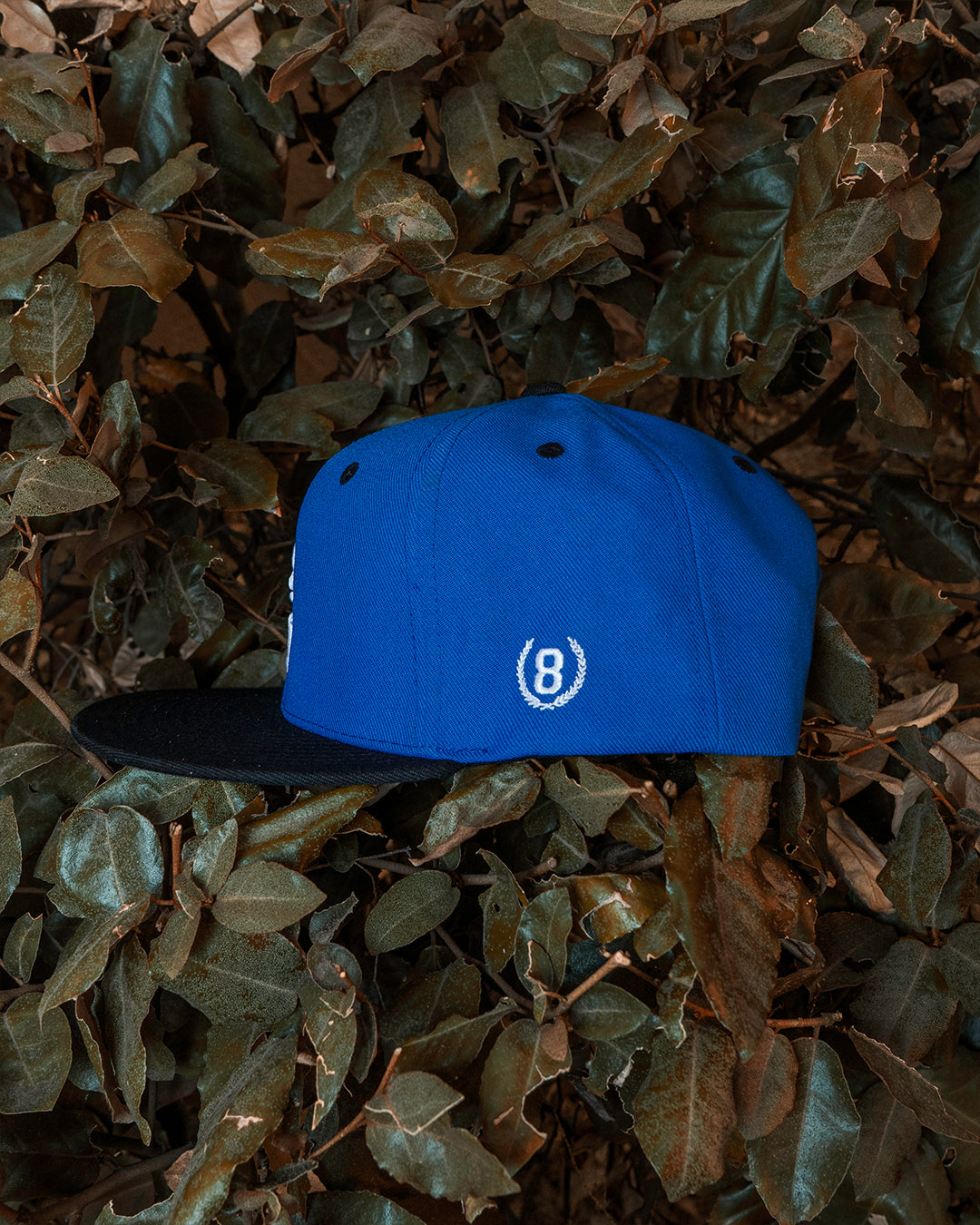 Royal Blue SFV (W/Patch)