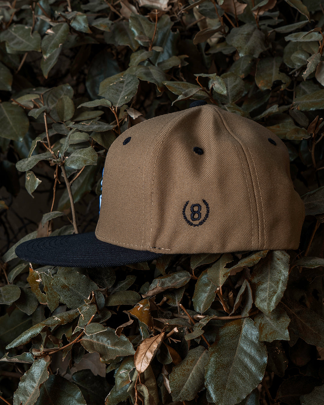 Brown/Sky Blue SFV (W/Patch)