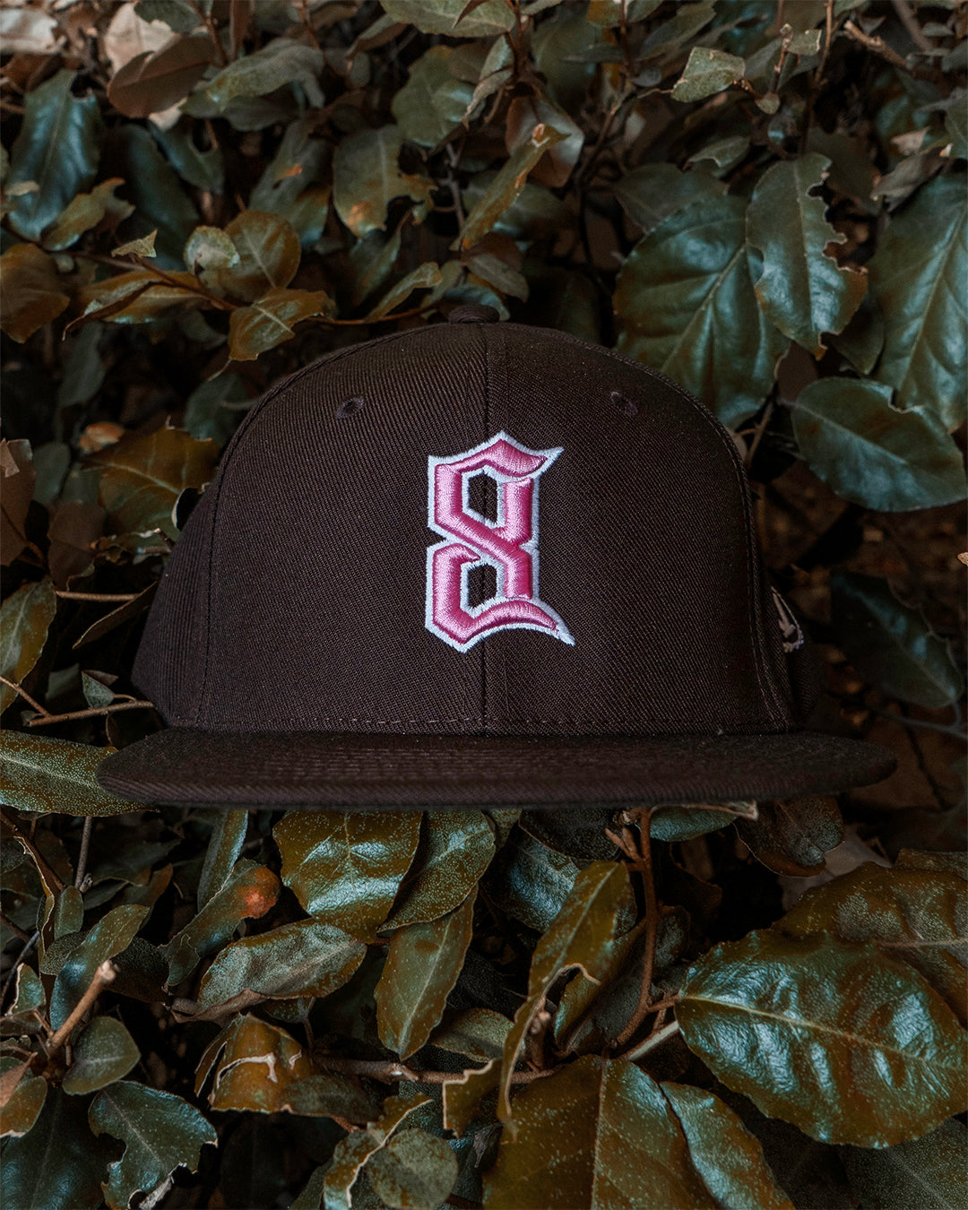 Brown/ Pink Ole English 8