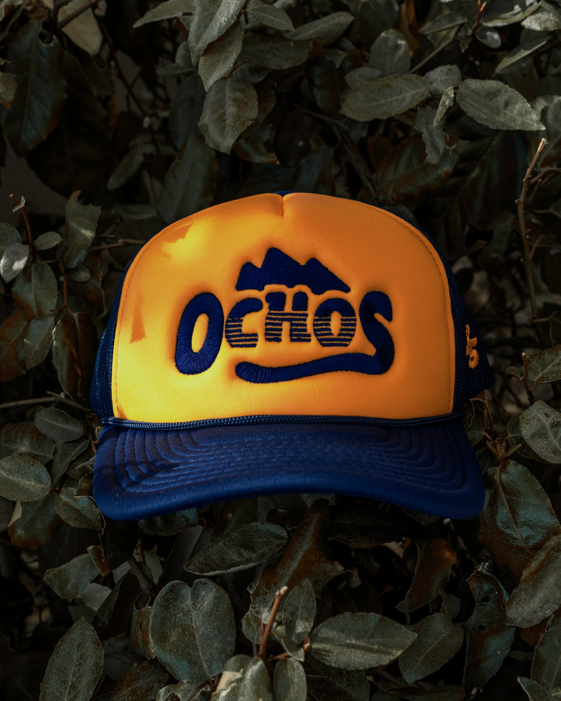 Indiana Ochos Trucker
