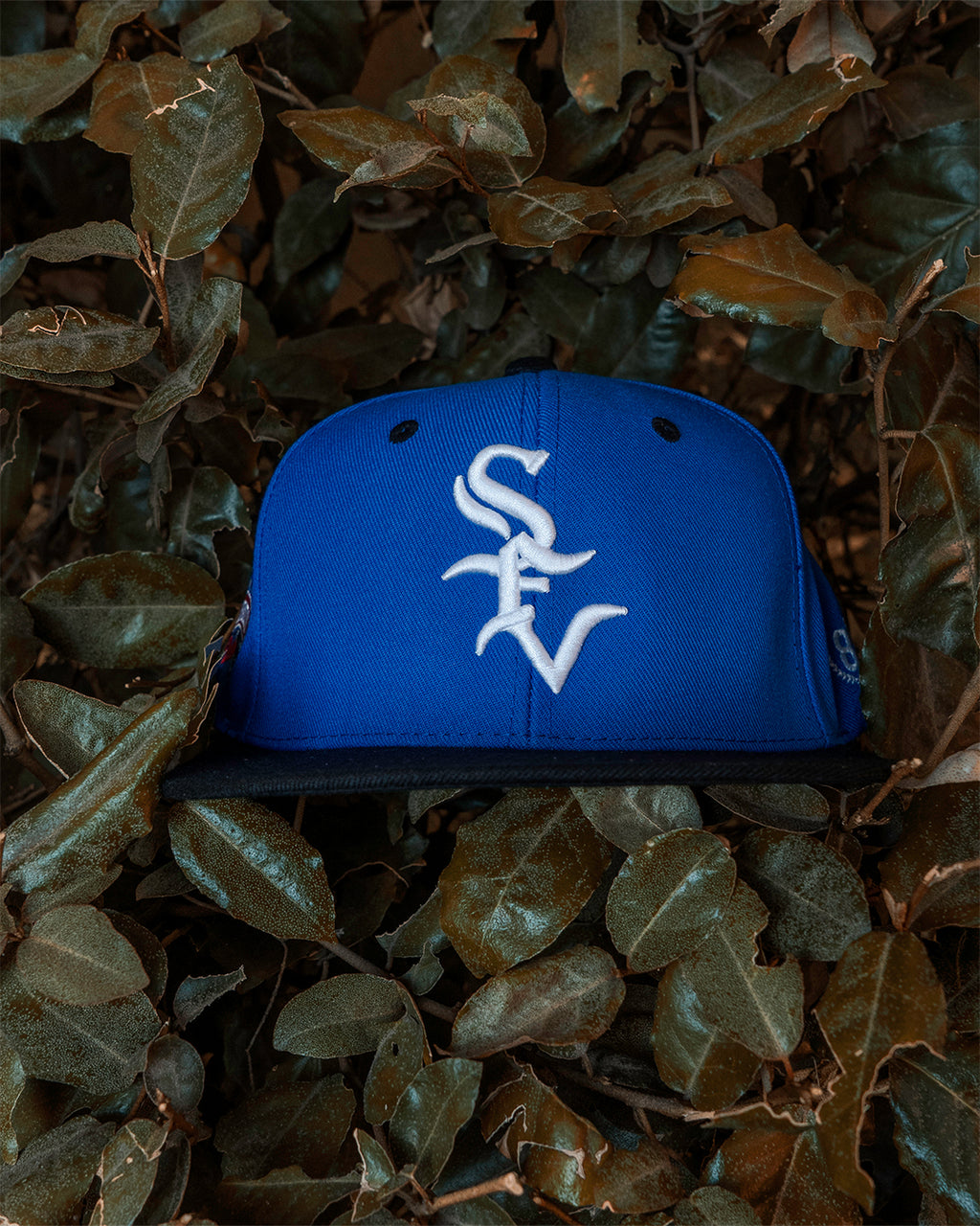 Royal Blue SFV (W/Patch)