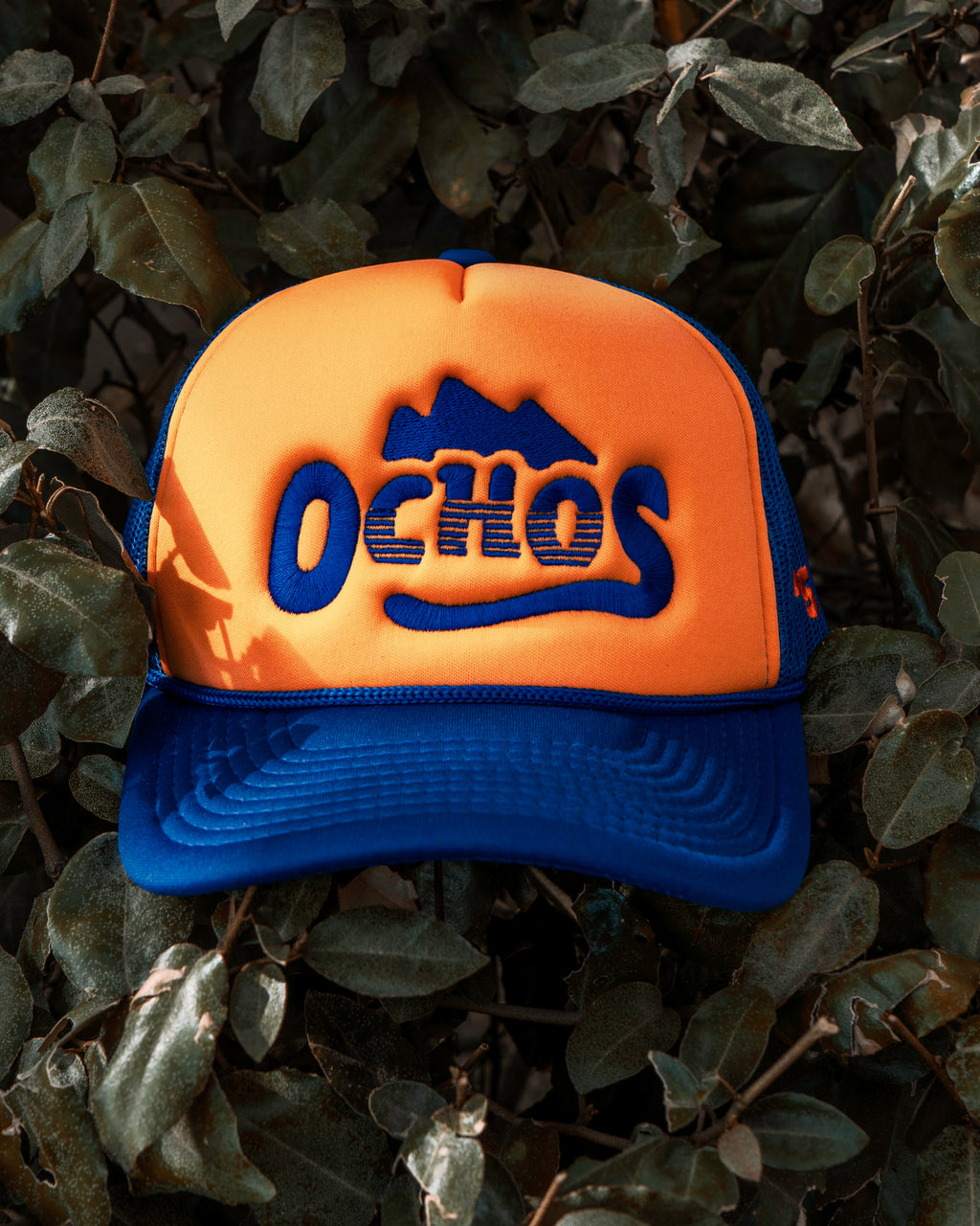 Oklahoma Ochos Trucker