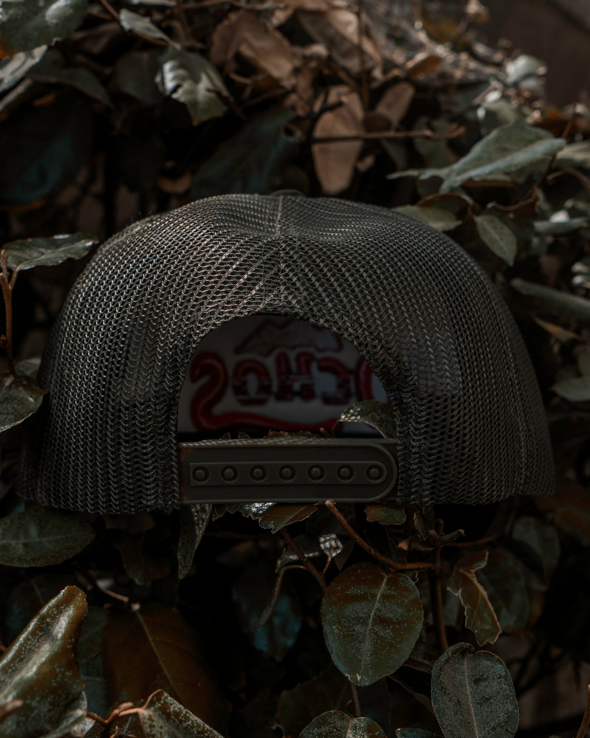 Gucci Ochos Trucker