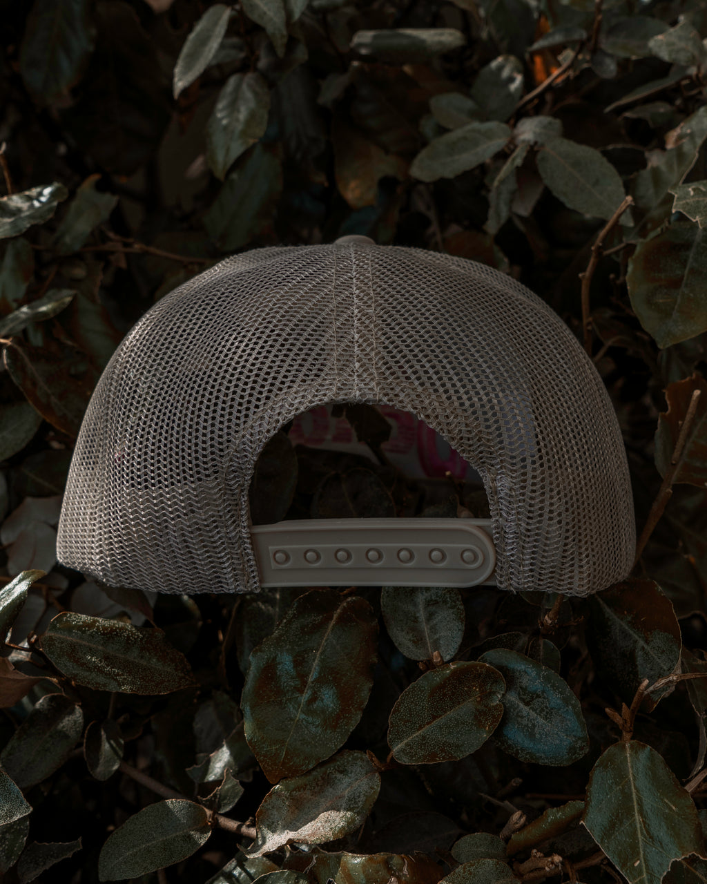 Beige/Pink Ochos Trucker