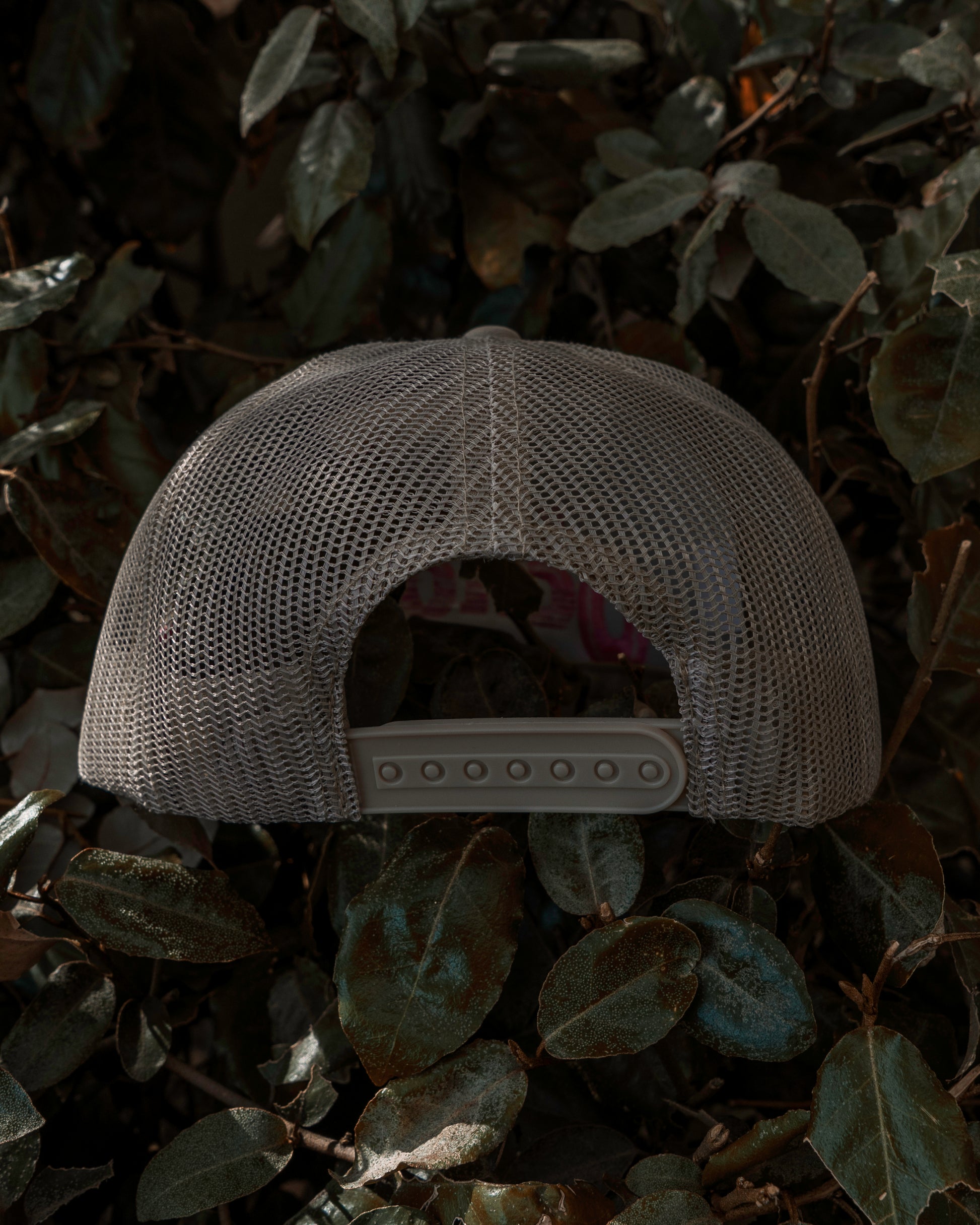 Beige/Pink Ochos Trucker