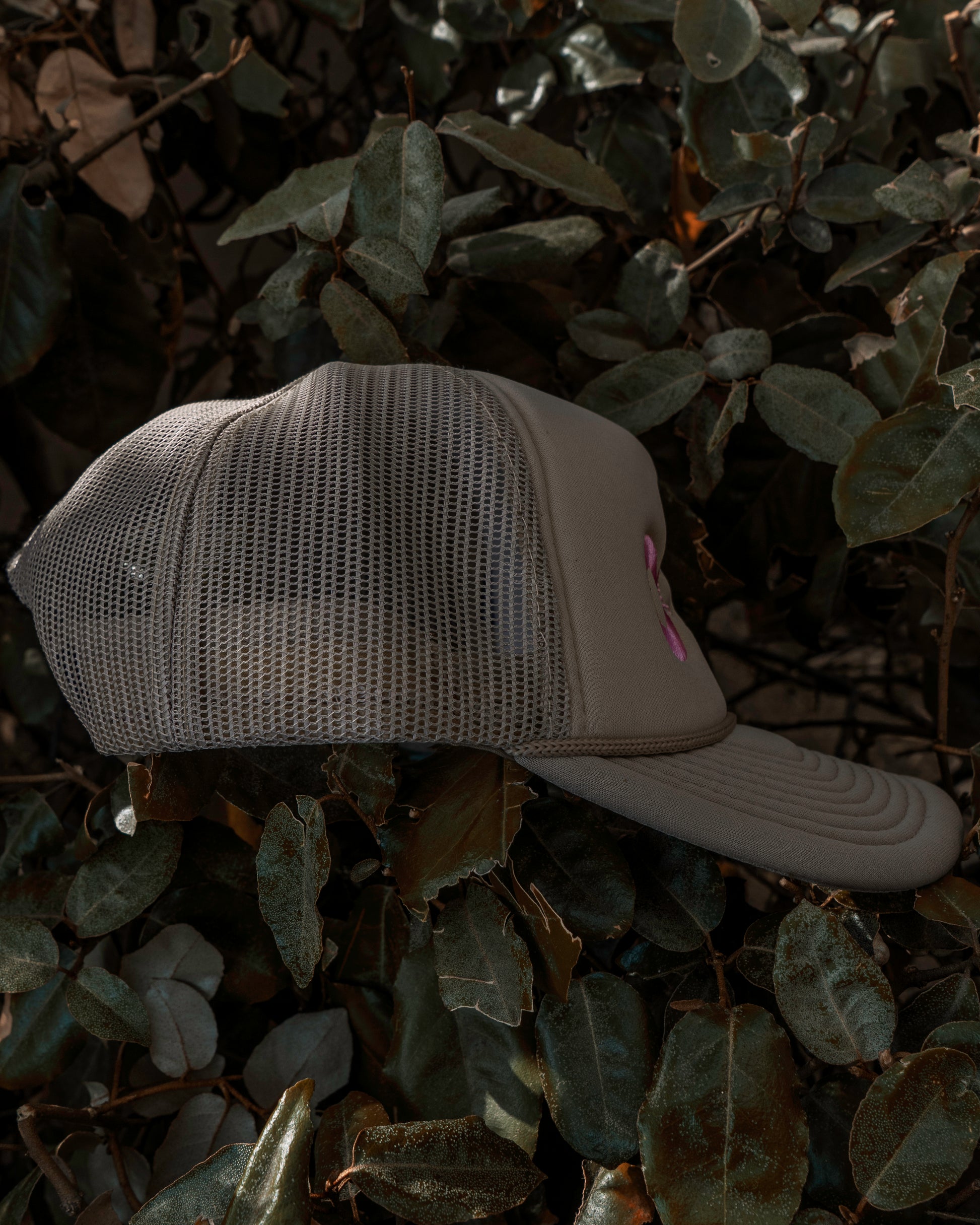 Beige/Pink Ochos Trucker